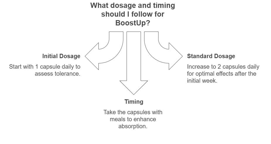 The image is an instructional graphic detailing the dosage and timing for taking a supplement called BoostUp. It is divided into three sections with arrows pointing to each section. Initial Dosage: 'Start with 1 capsule daily to assess tolerance.' Standard Dosage: 'Increase to 2 capsules daily for optimal effects after the initial week.' Timing: 'Take the capsules with meals to enhance absorption.' At the top of the image, there is a question: 'What dosage and timing should I follow for BoostUp?'