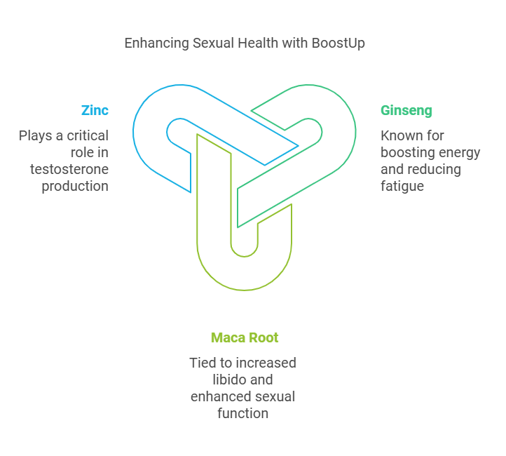 The image shows a diagram titled 'Enhancing Sexual Health with BoostUp.' It features a central abstract logo with three sections, each associated with a different supplement and its benefits. The top left section, labeled 'Zinc' in blue, states 'Plays a critical role in testosterone production.' The top right section, labeled 'Ginseng' in green, states 'Known for boosting energy and reducing fatigue.' The bottom section, labeled 'Maca Root' in light green, states 'Tied to increased libido and enhanced sexual function.' The image is designed to highlight the benefits of these three supplements in enhancing sexual health.