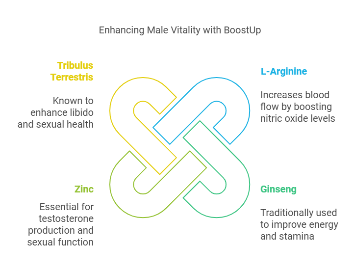 Is BoostUp safe. Diagram titled 'Enhancing Male Vitality with BoostUp' featuring a central interlocking design divided into four sections. Each section highlights a different supplement and its benefits: Tribulus Terrestris for enhancing libido and sexual health, L-Arginine for increasing blood flow by boosting nitric oxide levels, Zinc essential for testosterone production and sexual function, and Ginseng traditionally used to improve energy and stamina. The diagram is visually appealing, with each supplement name in bold and benefits clearly listed below, aimed at individuals interested in male vitality and health supplements.