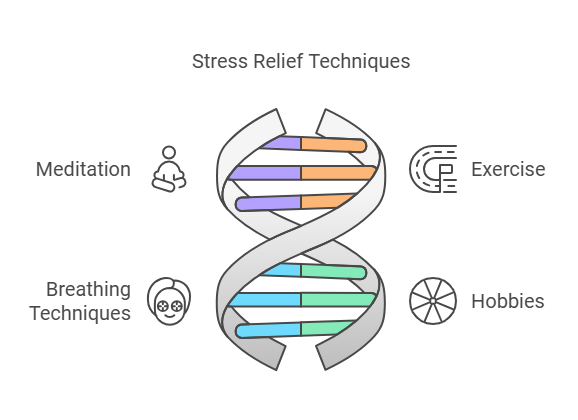 "The image shows a DNA double helix with the title 'Stress Relief Techniques' at the top. Surrounding the DNA helix are four icons representing different stress relief techniques: Meditation (depicted by a person sitting in a meditative pose) on the left, Exercise (depicted by a running track) on the right, Breathing Techniques (depicted by a face with a breathing mask) on the bottom left, and Hobbies (depicted by a spinning wheel) on the bottom right. The DNA helix is colored with various segments in purple, orange, blue, and green, symbolizing the integration of these techniques into one’s lifestyle for stress relief.