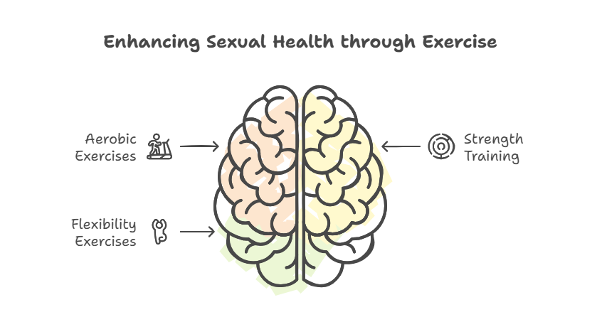 BoostUp and Erectile Dysfunction. This informational image illustrates the benefits of different types of exercises—Aerobic Exercises, Flexibility Exercises, and Strength Training—in enhancing sexual health. The brain is depicted with two hemispheres, each linked to specific exercise types. The left side shows icons for Aerobic Exercises (a person running on a treadmill) and Flexibility Exercises (a stretching figure), highlighting their roles in improving blood circulation and flexibility, which are vital for sexual wellness. The right side features an icon of a barbell representing Strength Training, emphasizing its importance in building muscle strength and endurance. Overall, the image promotes a holistic approach to sexual health through regular physical activity.