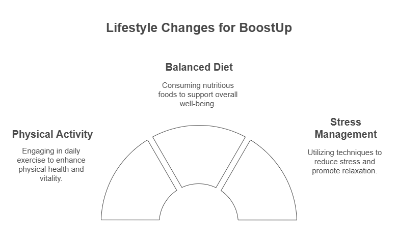 Diagram titled 'Lifestyle Changes for BoostUp' divided into three sections. The top section is labeled 'Balanced Diet' with the description 'Consuming nutritious foods to support overall well-being.' The left section is labeled 'Physical Activity' with the description 'Engaging in daily exercise to enhance physical health and vitality.' The right section is labeled 'Stress Management' with the description 'Utilizing techniques to reduce stress and promote relaxation.'