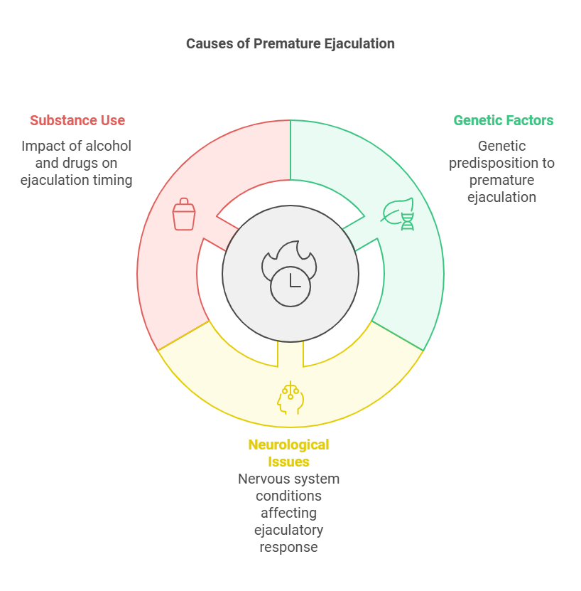 "The image is a circular diagram titled 'Causes of Premature Ejaculation.' The diagram is divided into three colored sections: red, green, and yellow. Each section represents a different cause of premature ejaculation. The red section on the left is labeled 'Substance Use' and includes an icon of a pill bottle. The text in this section reads 'Impact of alcohol and drugs on ejaculation timing.' The green section on the right is labeled 'Genetic Factors' and includes an icon of a DNA strand. The text in this section reads 'Genetic predisposition to premature ejaculation.' The yellow section at the bottom is labeled 'Neurological Issues' and includes an icon of a brain with neural connections. The text in this section reads 'Nervous system conditions affecting ejaculatory response.' In the center of the diagram, there is a clock icon surrounded by a flame, symbolizing urgency or speed.