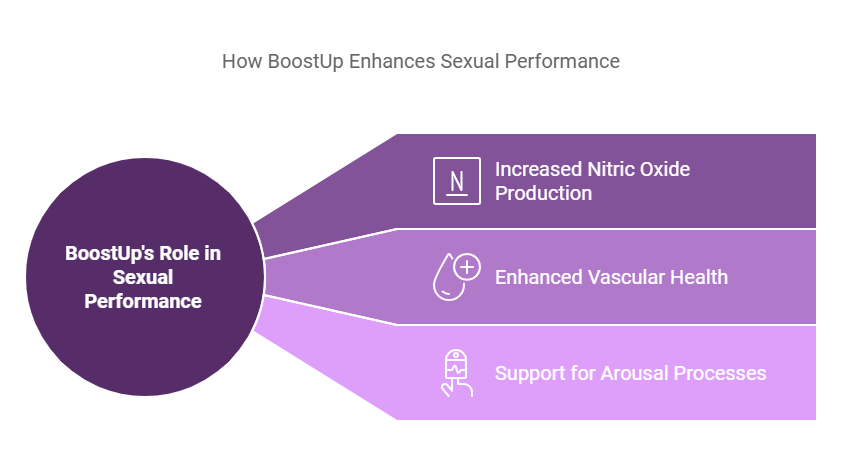 Infographic illustrating BoostUp's role in enhancing sexual performance. The graphic features a circular purple section on the left labeled 'BoostUp's Role in Sexual Performance,' connected by three arrows pointing right. Each arrow represents a benefit: 1) 'Increased Nitric Oxide Production' with an icon of a nitrogen symbol, 2) 'Enhanced Vascular Health' with an icon resembling a blood droplet, and 3) 'Support for Arousal Processes' with an icon of a smiling face. The background transitions through shades of purple and pink.