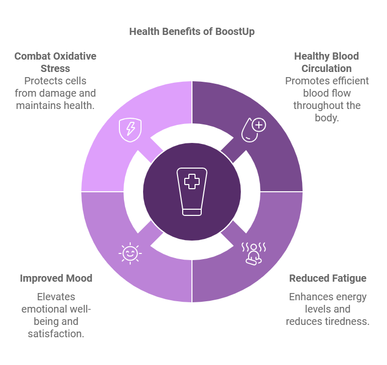 The image is a circular infographic titled "Health Benefits of BoostUp." It is divided into four quadrants, each highlighting a different health benefit. The top left quadrant is labeled "Combat Oxidative Stress" and states "Protects cells from damage and maintains health." The top right quadrant is labeled "Healthy Blood Circulation" and states "Promotes efficient blood flow throughout the body." The bottom right quadrant is labeled "Reduced Fatigue" and states "Enhances energy levels and reduces tiredness." The bottom left quadrant is labeled "Improved Mood" and states "Elevates emotional well-being and satisfaction." The center of the circle features an icon of a supplement bottle with a medical cross on it. The infographic uses various shades of purple to differentiate the sections.